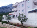 Exterior equipped with swimming pool, terrace and barbecue, Villa Natasha with Pool Makarska